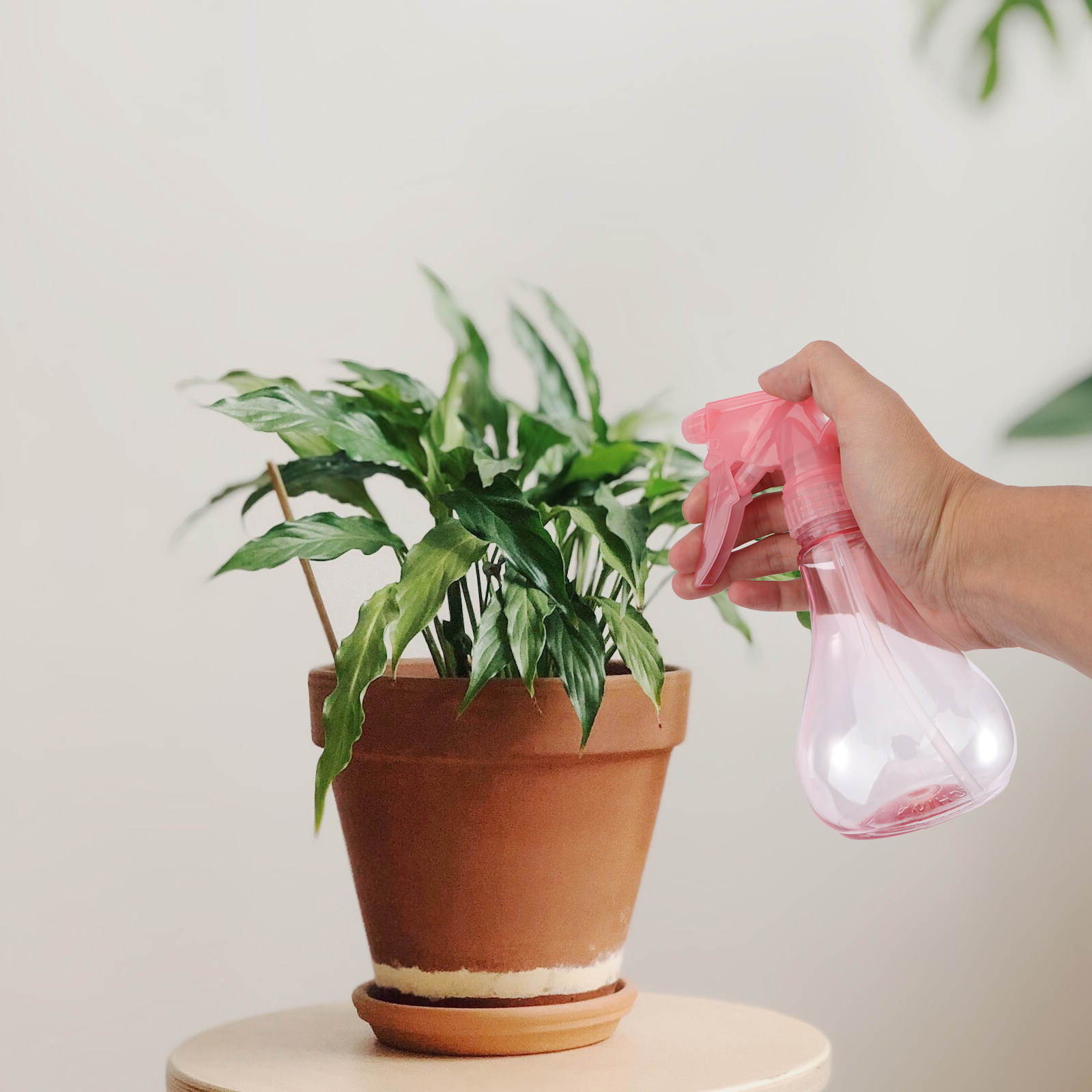 1Set Mini Succulent Planting T - đánh giá và giá Gardening Tools And Accessories