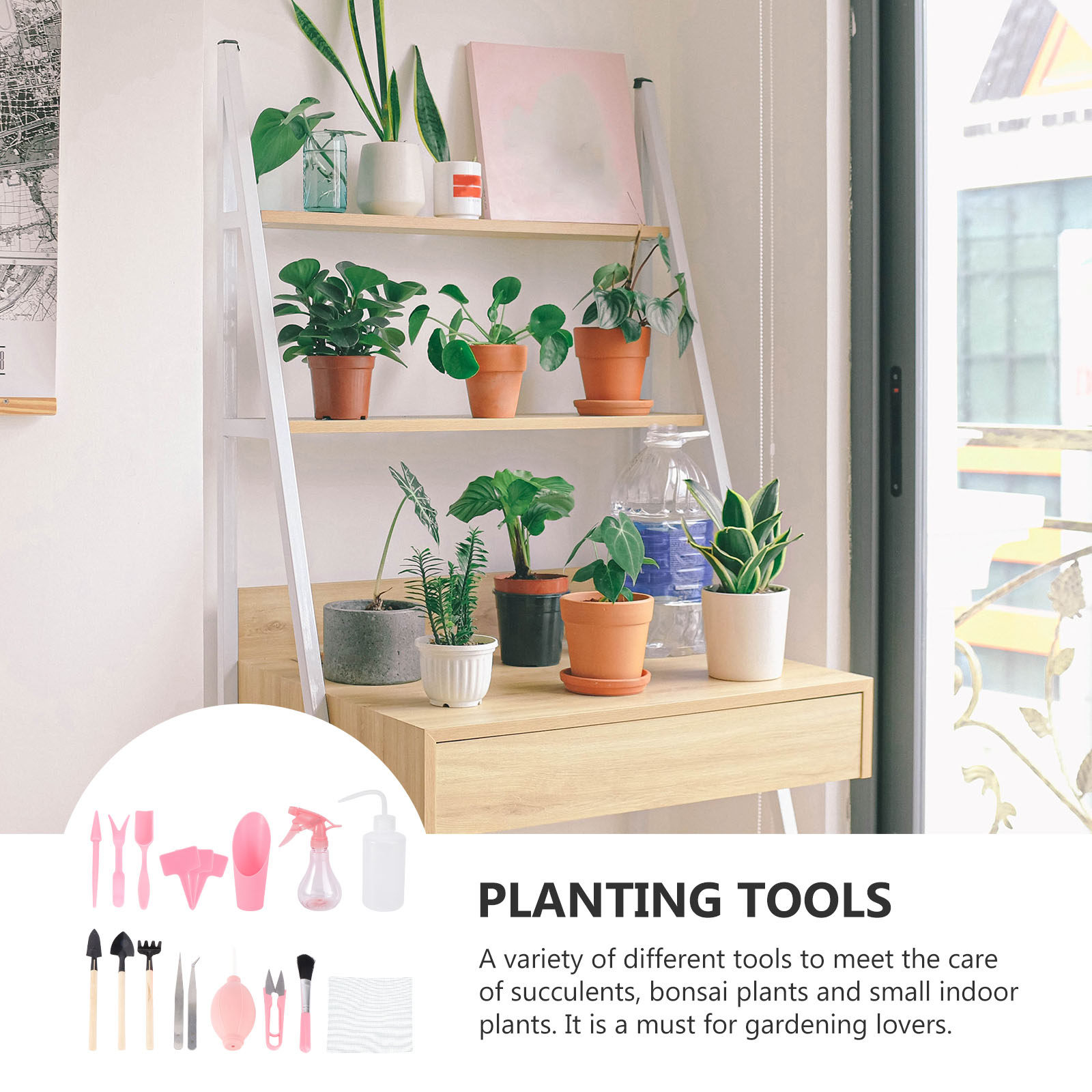 1Set Mini Succulent Planting T - đánh giá và giá Gardening Tools And Accessories