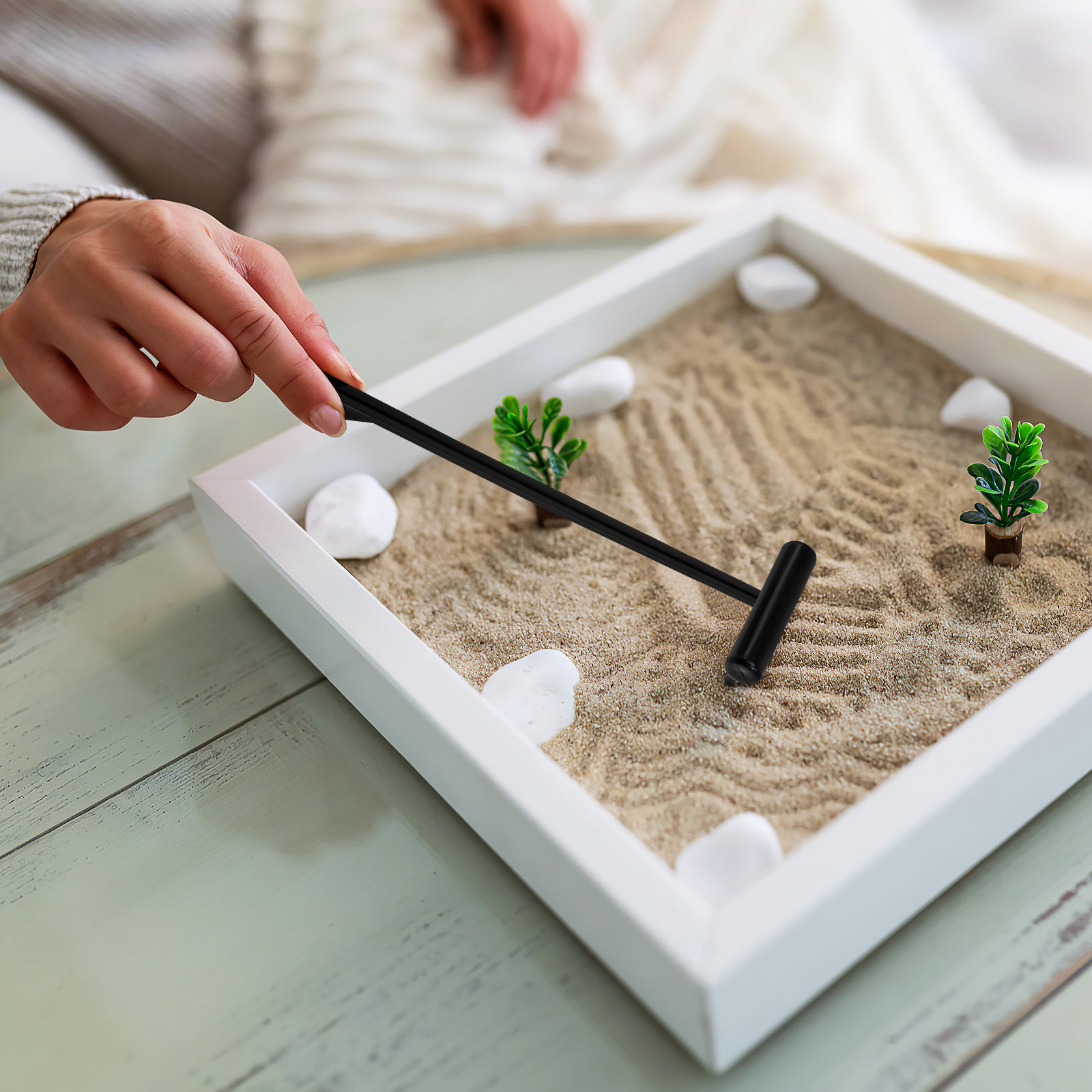 6Pcs Mini Garden Rake Zen Rake - đánh giá và giá Gardening Tools And Accessories