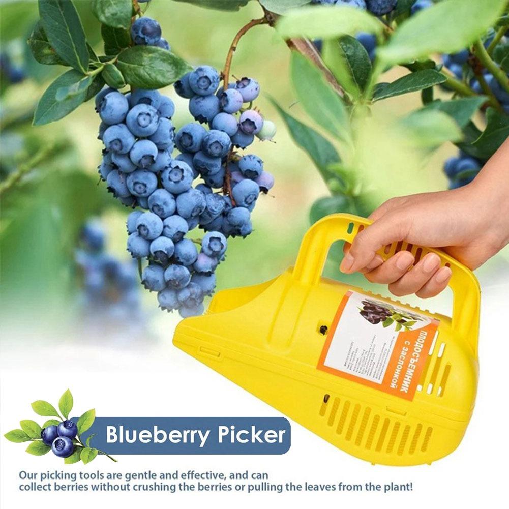 Easy-Grip Blueberry Picker Too - đánh giá và giá Gardening Tools Must Haves