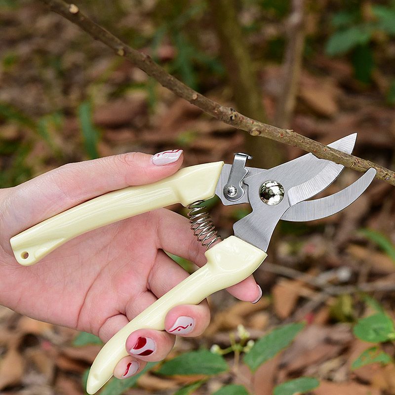 Labor‑Saving Garden Pruning Sh - đánh giá và giá Gardening Tools Heavy Duty