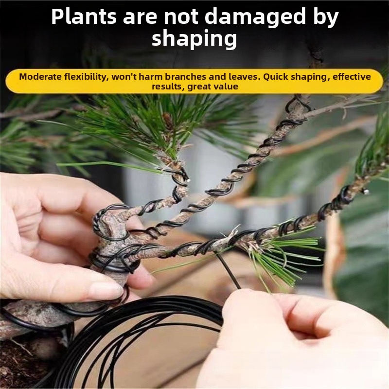 1.5MM Bonsai Wires Aluminum Bo - đánh giá và giá Gardening Tools And Accessories