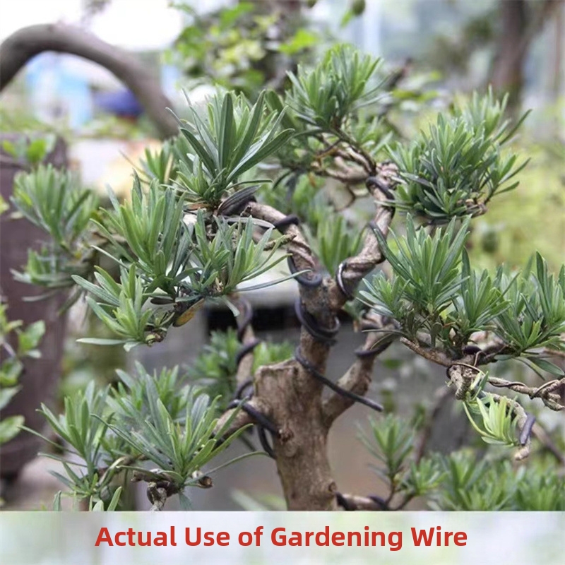 1.5MM Bonsai Wires Aluminum Bo - đánh giá và giá Gardening Tools And Accessories
