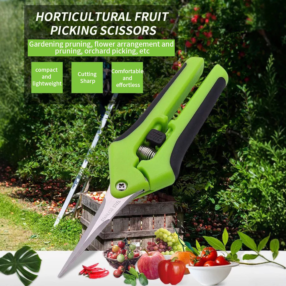 ：Pointed Fruit Picking Shears  - đánh giá và giá Gardening Tools And Uses