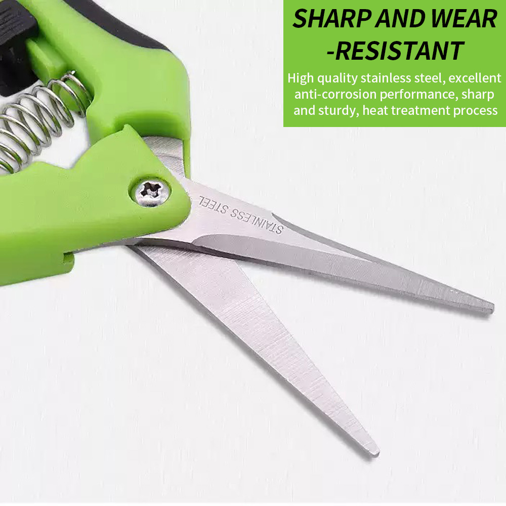 ：Pointed Fruit Picking Shears  - đánh giá và giá Gardening Tools And Uses
