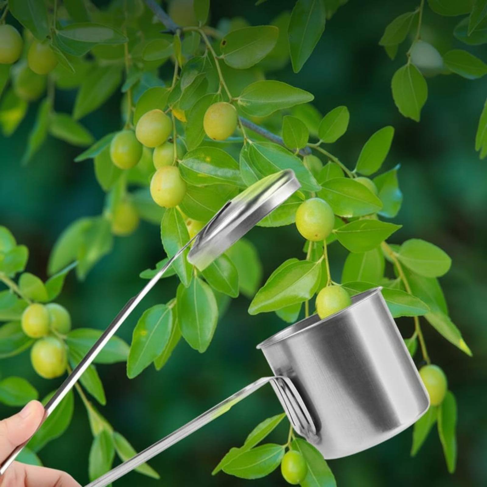 Cup Fruit Picker Stainless Ste - đánh giá và giá Gardening Tools And Uses